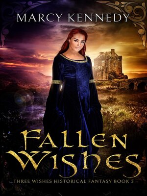 cover image of Fallen Wishes